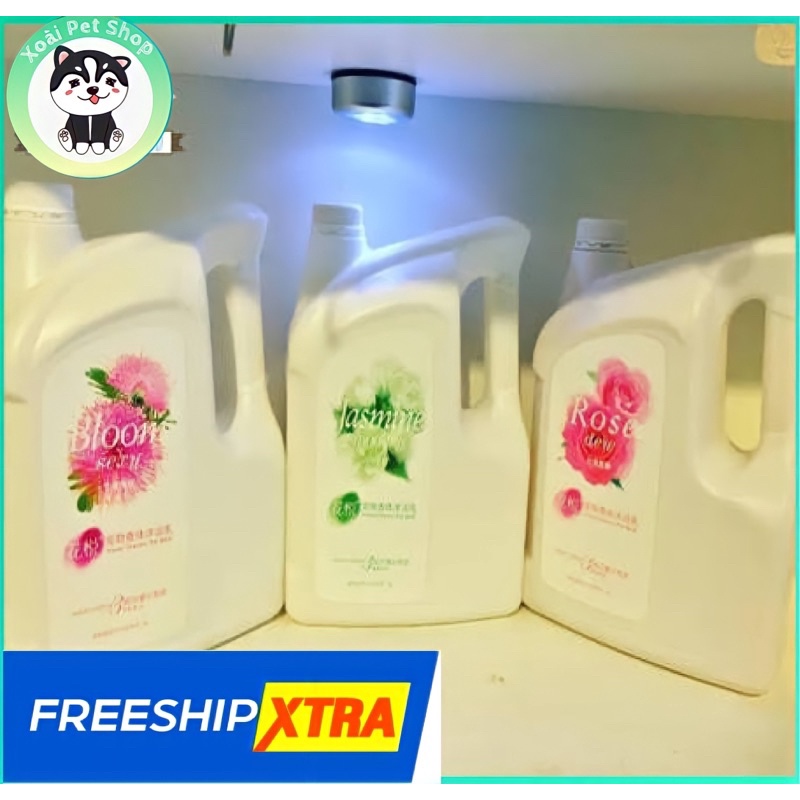 sữa tắm chó mèo Dolls sexy Bloom 4l
