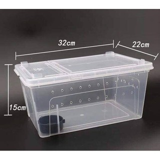 Hộp nuôi bò sát 32 x 22 x 15 (trắng)