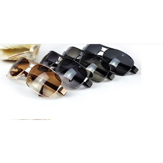 Kính Phân Cực ENCI gọng kim loại