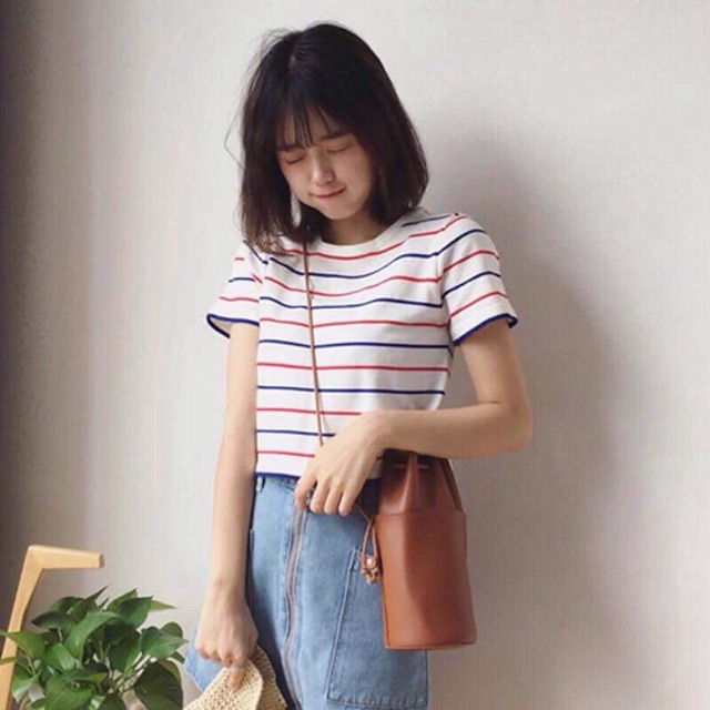 Crotop kẻ ngang