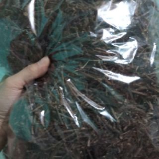 1kg quế thanh