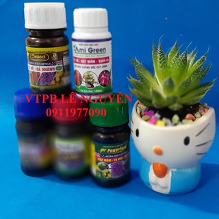 COMBO THẦN THÁNH CHO LAN