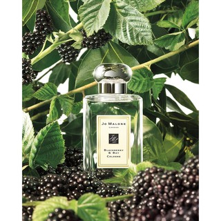 🆈🆄🆁🅸 - Nước hoa Jo Malone Blackberry & Bay Test 10ml