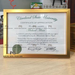 Khung bằng khen màu vàng sang trọng nhiều kích thước - khung hình phạm gia PGBK2