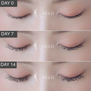 Tinh Chất Mọc Mi + Mascara Queen MWhite