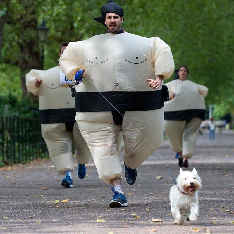 Bộ Đồ Bơm Hơi Hóa Trang Sumo Wrestling Khủng Long Người Ngoài Hành Tinh Sumocock Cá Mập Hồng Hạc Hóa Trang Tiệc Halloween Cho Người Lớn Và Trẻ Em