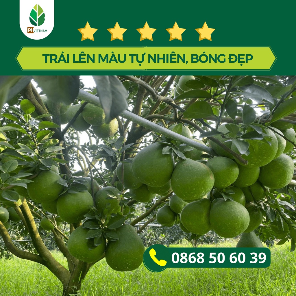 Phân bón lá Canxibo 1 lít – Dưỡng hoa, Dưỡng trái, làm dai cuống, chống rụng hoa rụng trái, thối trái, cứng cây xanh lá