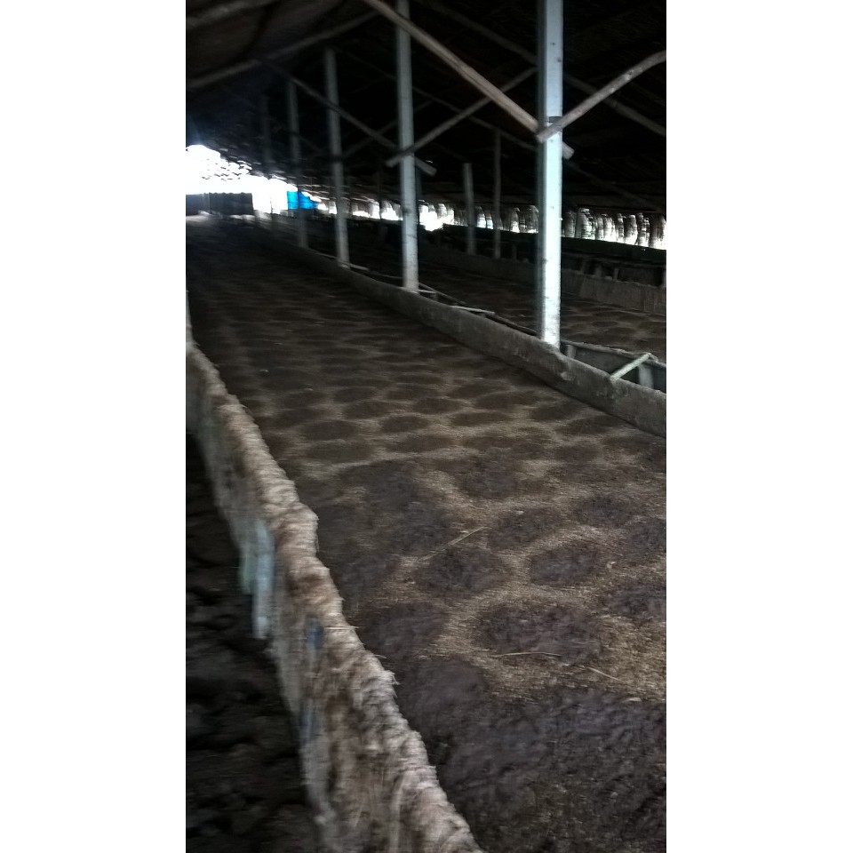 Phân trùn quế 1Kg Earthworm fertilizer - gia si, chuyen cho trong rau sach, cay kieng