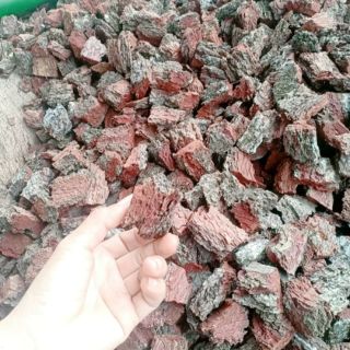 1kg vỏ thông trồng lan hàng đã qua xử lí nấm mốc