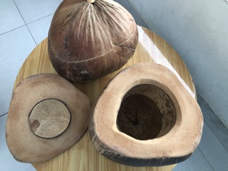 Vỏ ấm trà trái dừa nhà làm