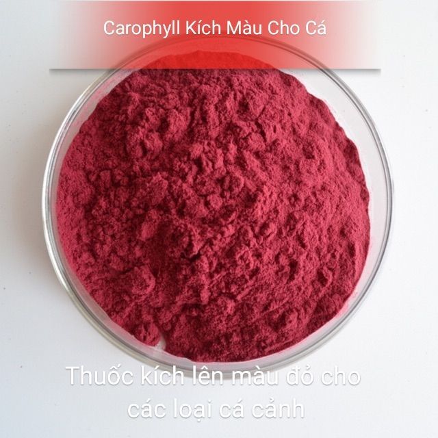 Carophyll kích màu đỏ , vàng cho các loại cá , có thể trộn đồ tươi cho cá cảnh (1 gram)