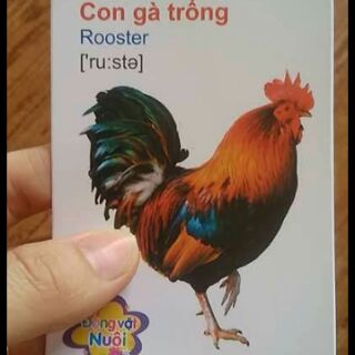 Thẻ hoc thong minh