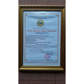 Chè Thái Nguyên gói 100g