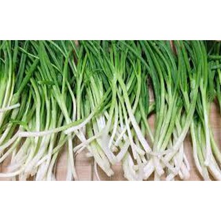 Hạt giống Hành lá 2.5gr❤️FREESHIP XTRA❤️
