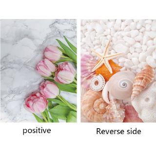 Giấy Lót Nền Chụp Ảnh Kích Thước 55x40cm