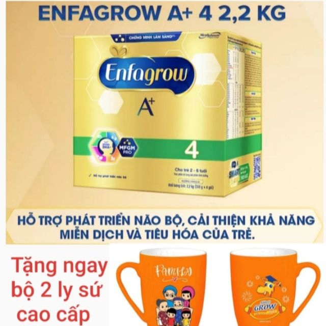 Sữa bột Enfagrow A+ 2.2kg