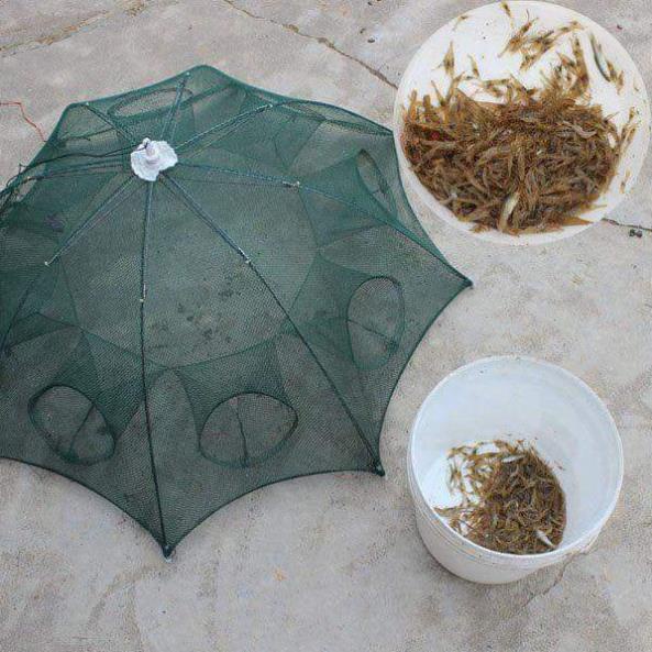 Lồng bát quái đánh bắt cá 4-6-8-12-16 cửa, lồng ô, lồng bẫy cá, sản phẩm giải trí cực kì thú vị