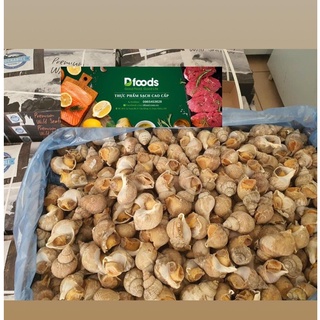 Ốc Bulot Pháp size 20 - 30 con/ 1 kg