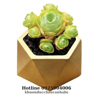 Khuôn đúc chậu cảnh Mini Lục Giác Phù hợp trồng cây sen đá, Nguyên liệu Nhựa ABS cao cấp cực bền mới