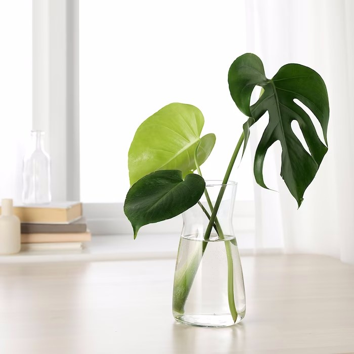 BÌNH NƯỚC - LỌ HOA THỦY TINH KARAFF IKEA
