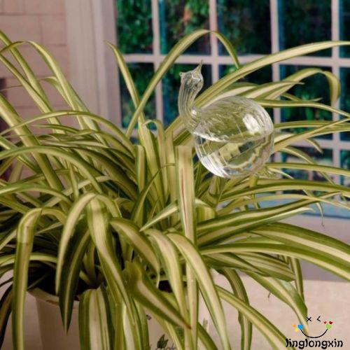 BღBღ✿New Glass Self Watering Plant Waterer 6 Types Plant Flowers Water Feeder