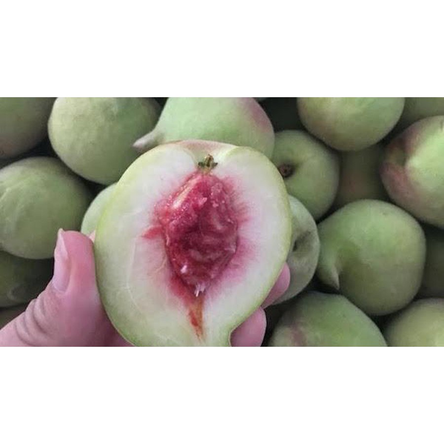 Cây giống ĐÀO ĂN QUẢ