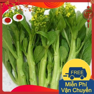 Combo 3 Gói Hạt Giống Rau Cải Làn Hoa Vàng