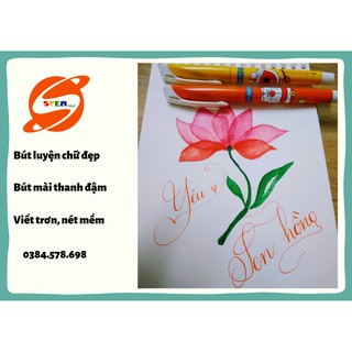 Bút luyện chữ đẹp 💖TẶNG NGÒI💖 Bút luyện chữ đẹp DORREMON 1701, siêu nhẹ