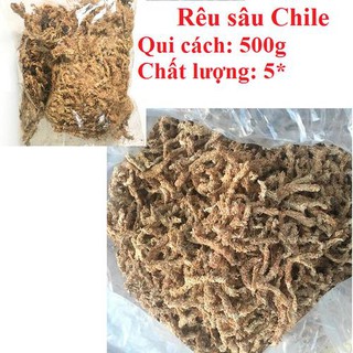 [CHÍNH HÃNG] Gói 500g Rêu con sâu Chile - Giá thể giữ ẩm tuyệt vời cho phong lan( hay còn gọi là rêu sâu)