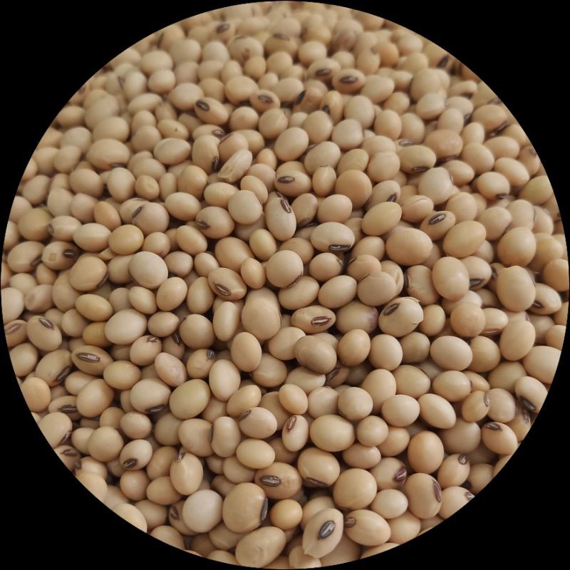 Đậu nành Phú Minh Tâm 450gr