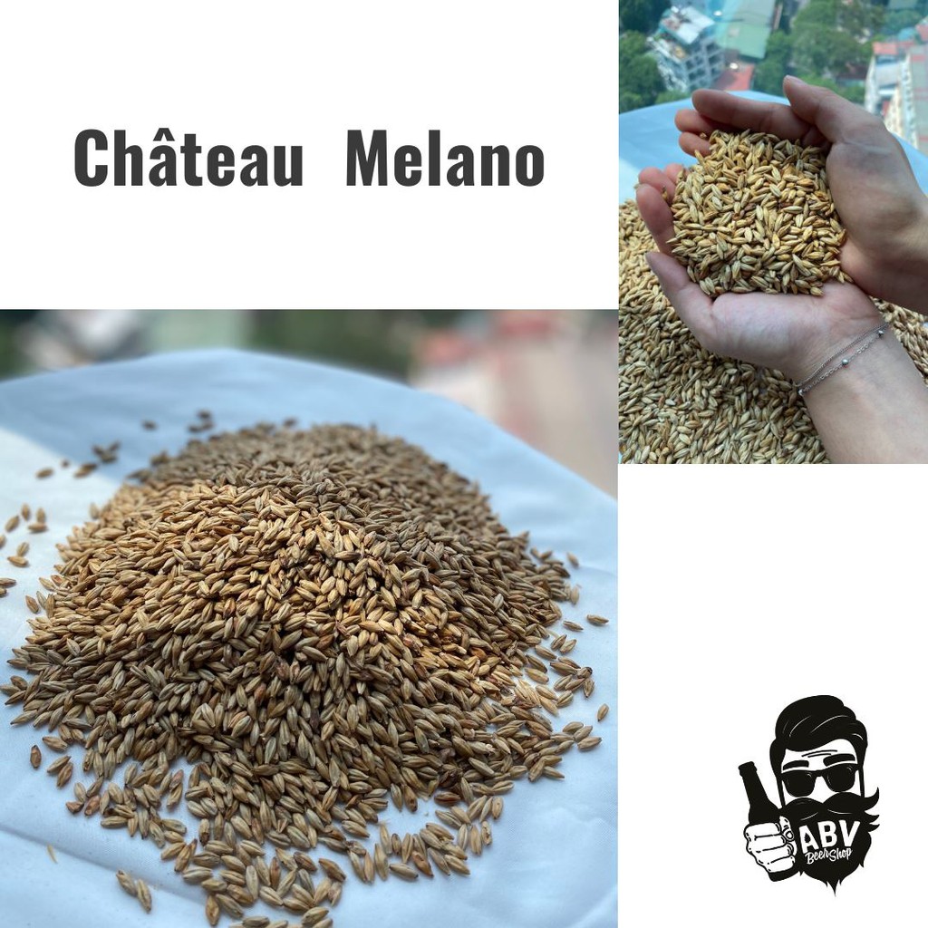 Malt nấu bia Château Melano