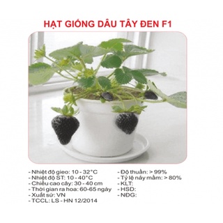 Hạt giống Dâu tây Đen 50 Hạt