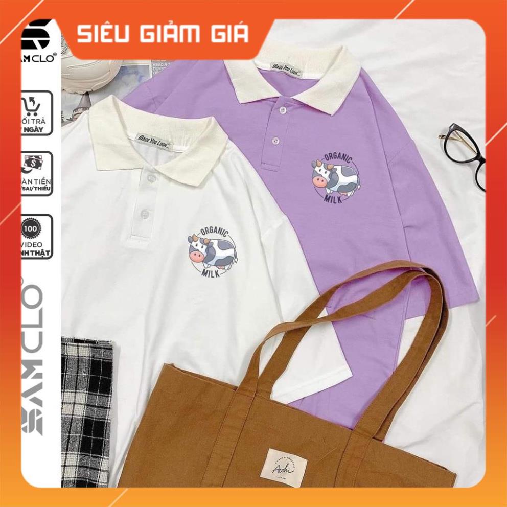 Áo thun Polo tay lỡ form rộng nữ SAM CLO phông freesize unisex mặc đi học, nhóm, lớp in hình BÒ SỮA