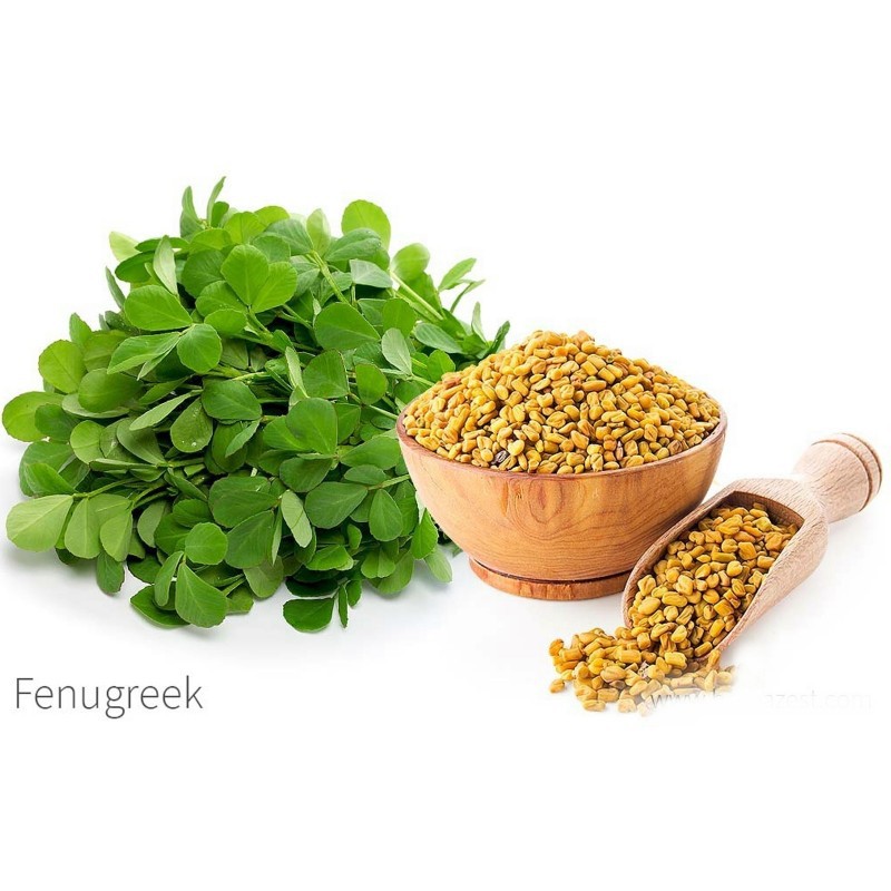 Hạt Fenugreek hay Hạt Methi seeds Ấn Độ - 500gr