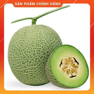 HẠT GIỐNG DƯA LƯỚI F1 SIÊU NGỌT RUỘT XANH - gói 20 hạt