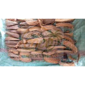 Sơ Dừa Nguyên Miếng (2-4cm) Đã Qua Xử Lý Giá Thể Dùng Trồng Lan Và Hoa Kiểng ( gói 12dm-550G)