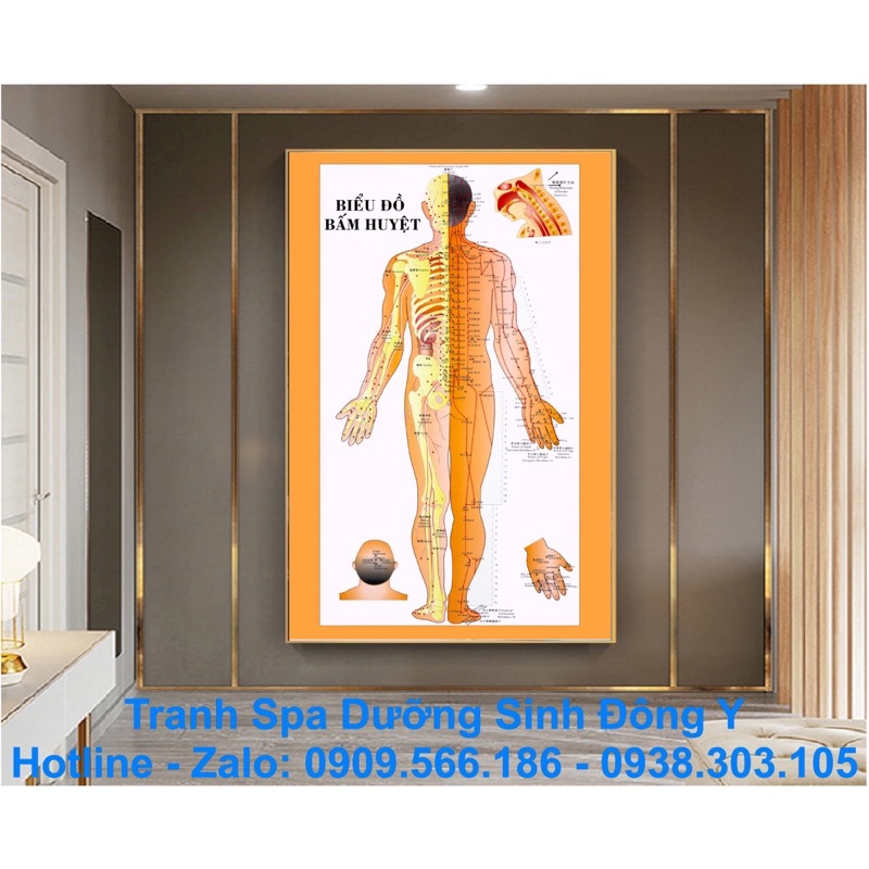 TRANH SPA DƯỠNG SINH ĐÔNG Y BẤM HUYỆT