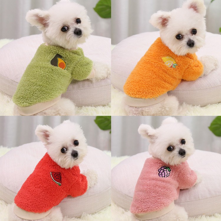 Áo ấm cho chó mèo - Áo sweater thêu họa tiết trái cây hoạt hình giữ ấm mùa đông cho thú cưng