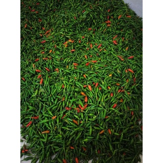 Ớt xiêm xanh 1kg