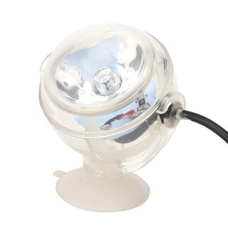 Đèn Led Mini Hình Cá Nhiệt Đới Độc Đáo