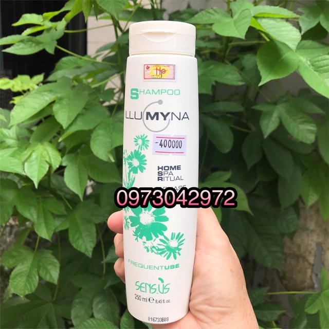 Dầu gội chống rụng tóc TEOTEMA Frequent Use Shampoo 250ml