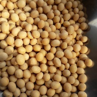 Đậu tương đậu nành - 1kg