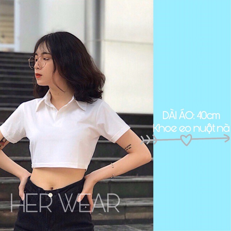 Áo croptop nữ Polo cổ bẻ, dáng ôm nhẹ chất cotton co dãn thoáng mát. | BigBuy360 - bigbuy360.vn