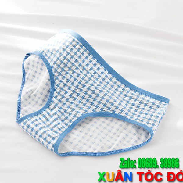 SỈ ZALO RẺ HƠN NHIỀU_ Quần Lót 5 Kiểu Gấu Trắng Kute Mới N043 | BigBuy360 - bigbuy360.vn