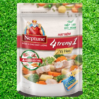 HẠT NÊM NEPTUNE 500G