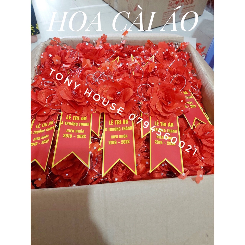 HOA CÀI ÁO ĐẠI BIỂU, TRI ÂN, KHAI TRƯƠNG VÀ CÁC DỊP LỄ LỚN