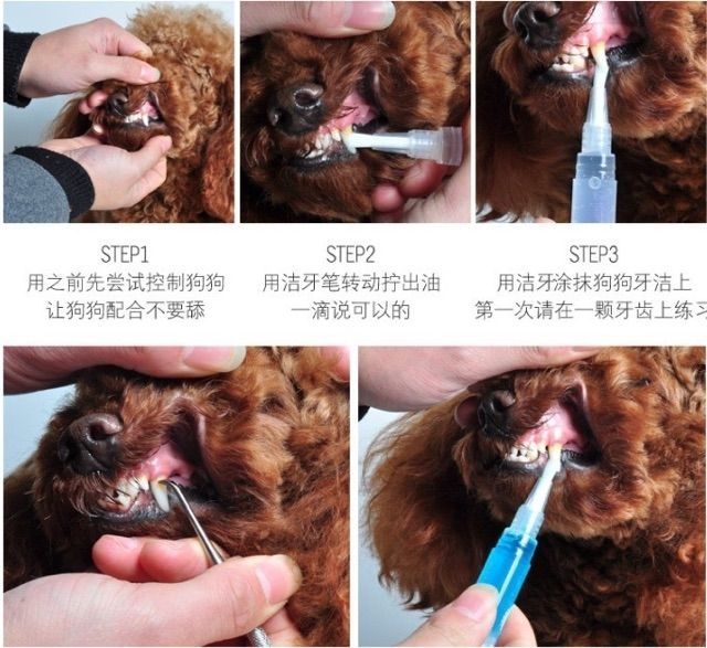 Dung dịch cạo vôi răng cho cún ❤ tặng kèm dụng cụ cạo