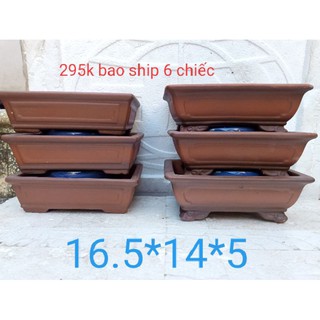 combo 6 chậu gốm tử sa