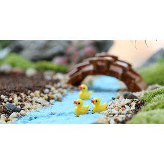 Combo 4 vịt con trang trí tiểu cảnh - phụ kiện trang trí tiểu cảnh - phụ kiện terrarium
