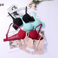 Kho Đồ Lót Thái Lan